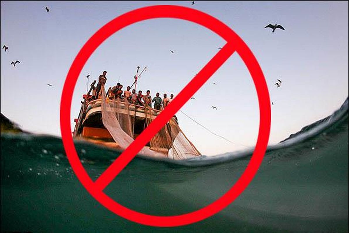 ممنوعیت صید