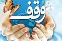 علایی: به افق آفتاب هفته وقف را گرامی می دارد