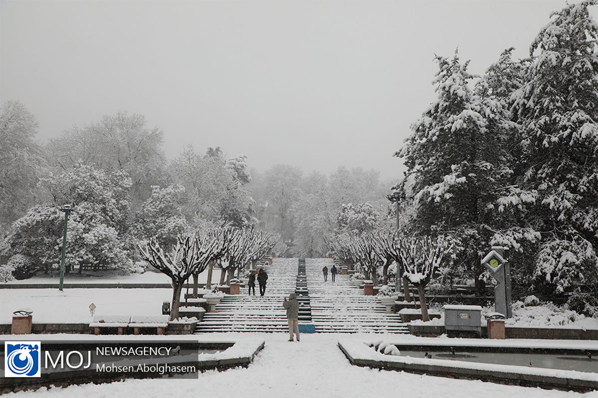 روز برفی در پارک نیاوران