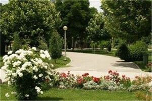 5 پروژه فضای سبز در کرج افتتاح می‌شود