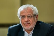 دولت باید مصوبه مجلس را دقیق عمل کند و در سوم اسفند از اجرای داوطلبانه پروتکل الحاقی خارج شود