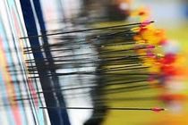 معرفی برترین‌های رنکینگ کشوری تیر و کمان