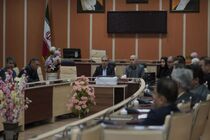 سهم مشاغل خانگی ایوان بیش از سه برابر شد