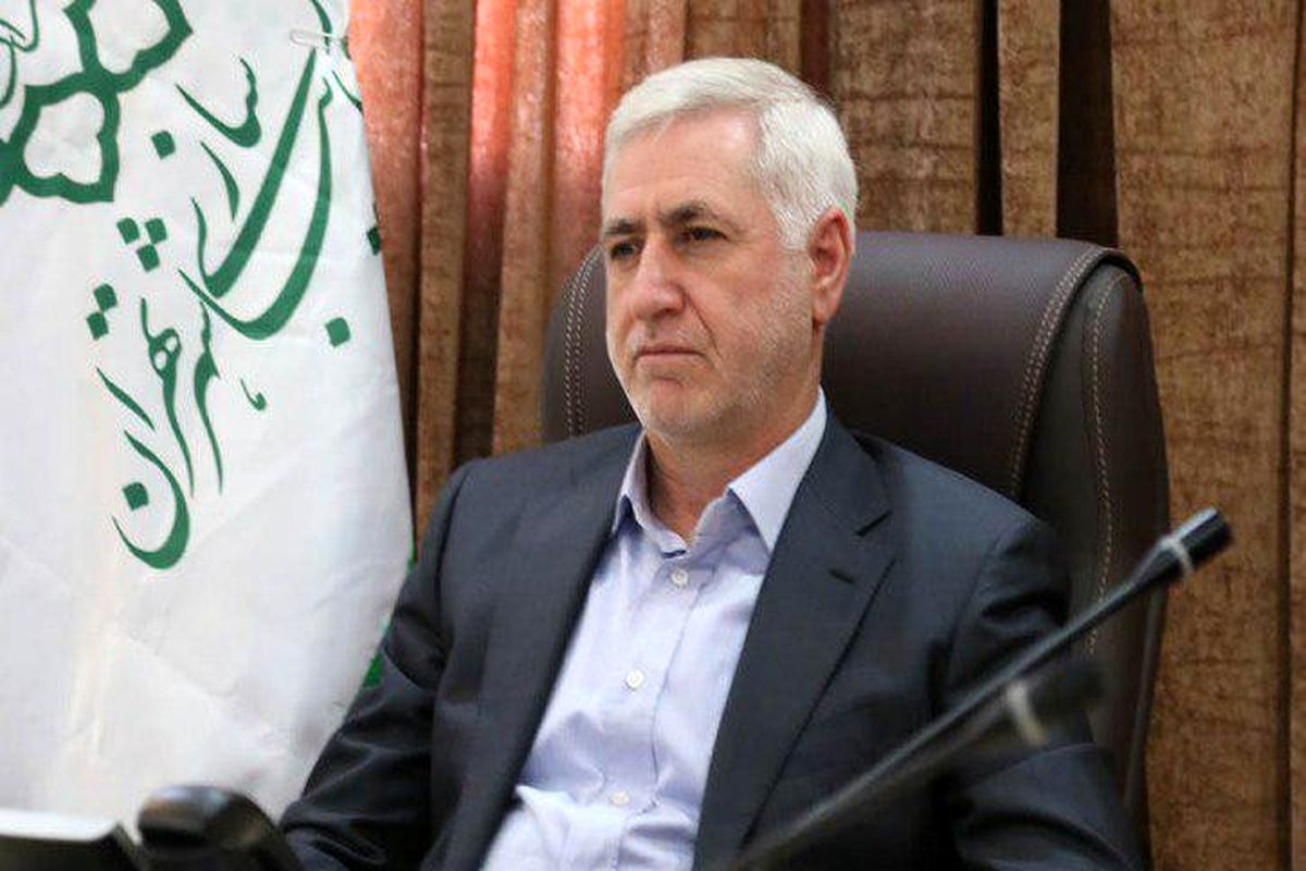 برزین ضرغامی