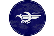 گزارش سازمان هواپیمایی کشوری در خصوص حادثه بوئینگ ۷۳۷ 