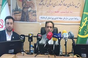 ظرفیت ۶ میلیون تنی صنایع تبدیلی کرمانشاه، گامی برای مهار خام‌فروشی کشاورزی