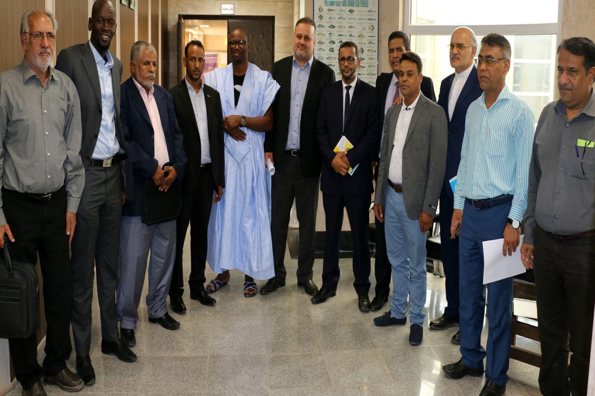 سرمایه گذاری شیلاتی