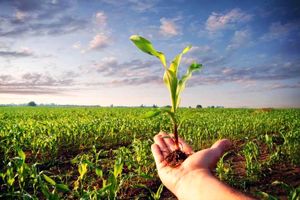 همایش آشنایی و مقابله با تهدیدات زیستی با محوریت نظام سلامت 