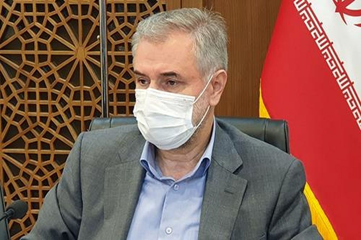 محمدرضا حبیبی