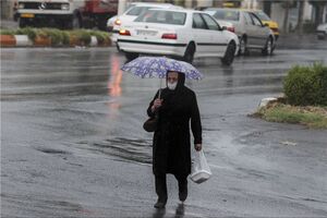 رشد 99 درصدی بارنگی‌های کرمانشاه در بلندمدت