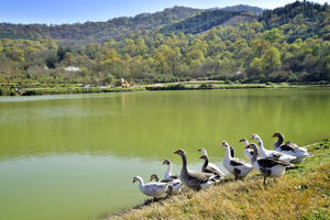 مرمت پنج هکتار آببندان در فریدونکنار با اعتبار 4.5 میلیاردی