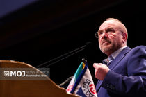 رئیس مجلس شورای اسلامی درگذشت سعید راد را تسلیت گفت