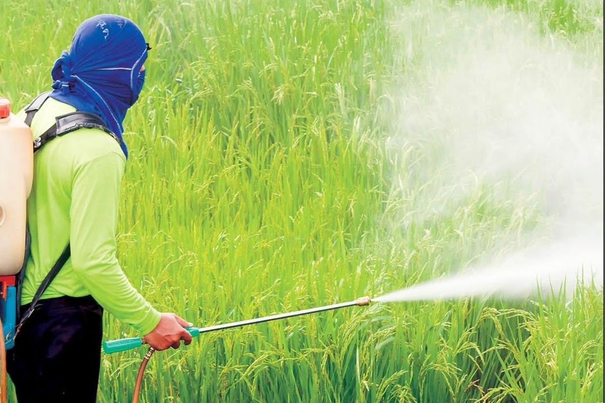 واردکنندگان سم و کود