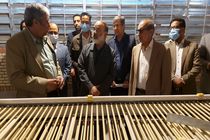 ۲۲۰۰ تن ظرفیت تولید تخم مرغ در زاهدان افزایش یافت