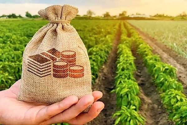 وزیر جهاد کشاورزی از افزایش کشت فراسرزمینی در قزاقستان خبر داد