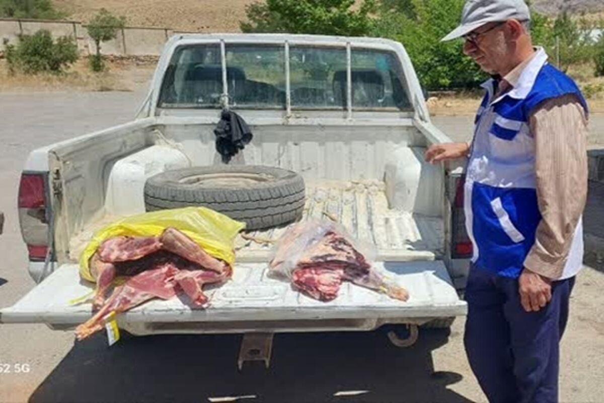 معدوم سازی گوشت فاسد