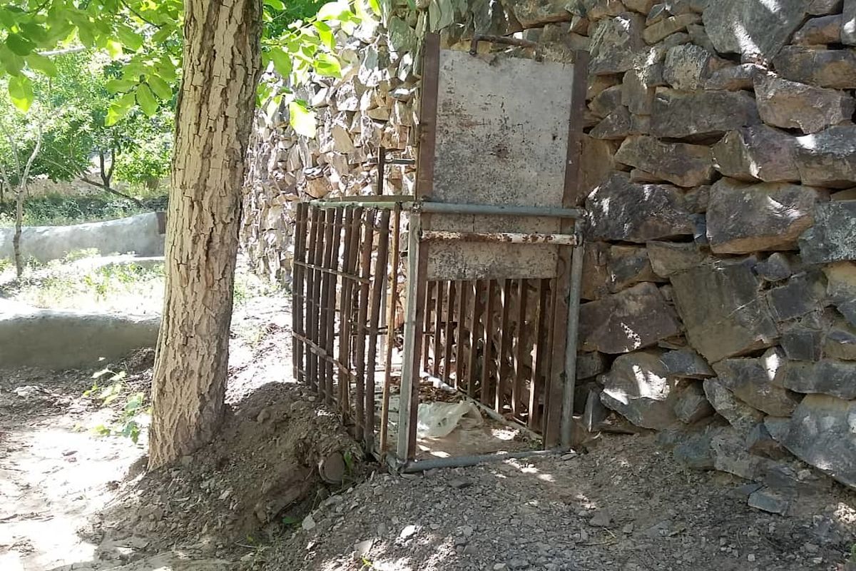 تله حیات و حش