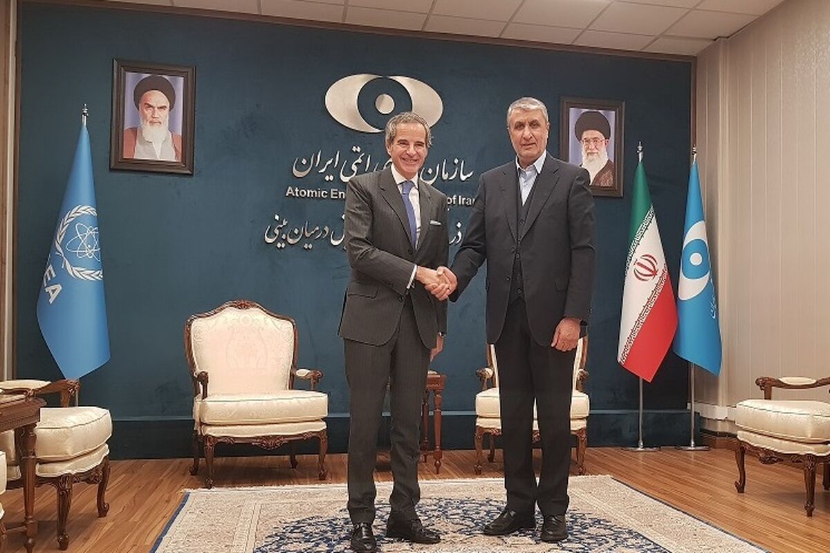 گروسی