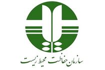 سازمان حفاظت محیط زیست خواستار توقف پیش فروش ۴ خودرو شد