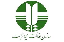 سازمان حفاظت محیط زیست خواستار توقف پیش فروش ۴ خودرو شد