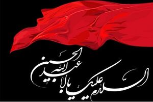 طرح هر خانه یک پرچم در میناب اجرا می شود
