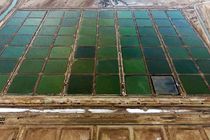  یشتر اراضی پرورش میگو به افراد بومی واگذارشده/پساب مزارع پرورش میگو برای رشد جنگل‌های حرا مفید است