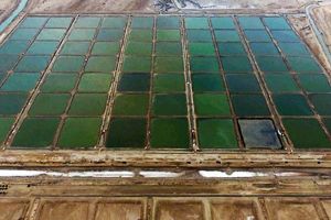  یشتر اراضی پرورش میگو به افراد بومی واگذارشده/پساب مزارع پرورش میگو برای رشد جنگل‌های حرا مفید است