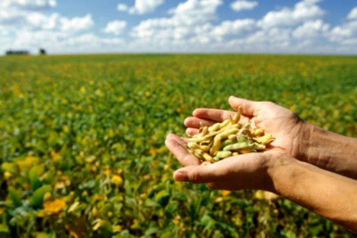 سویاکاران گلستانی