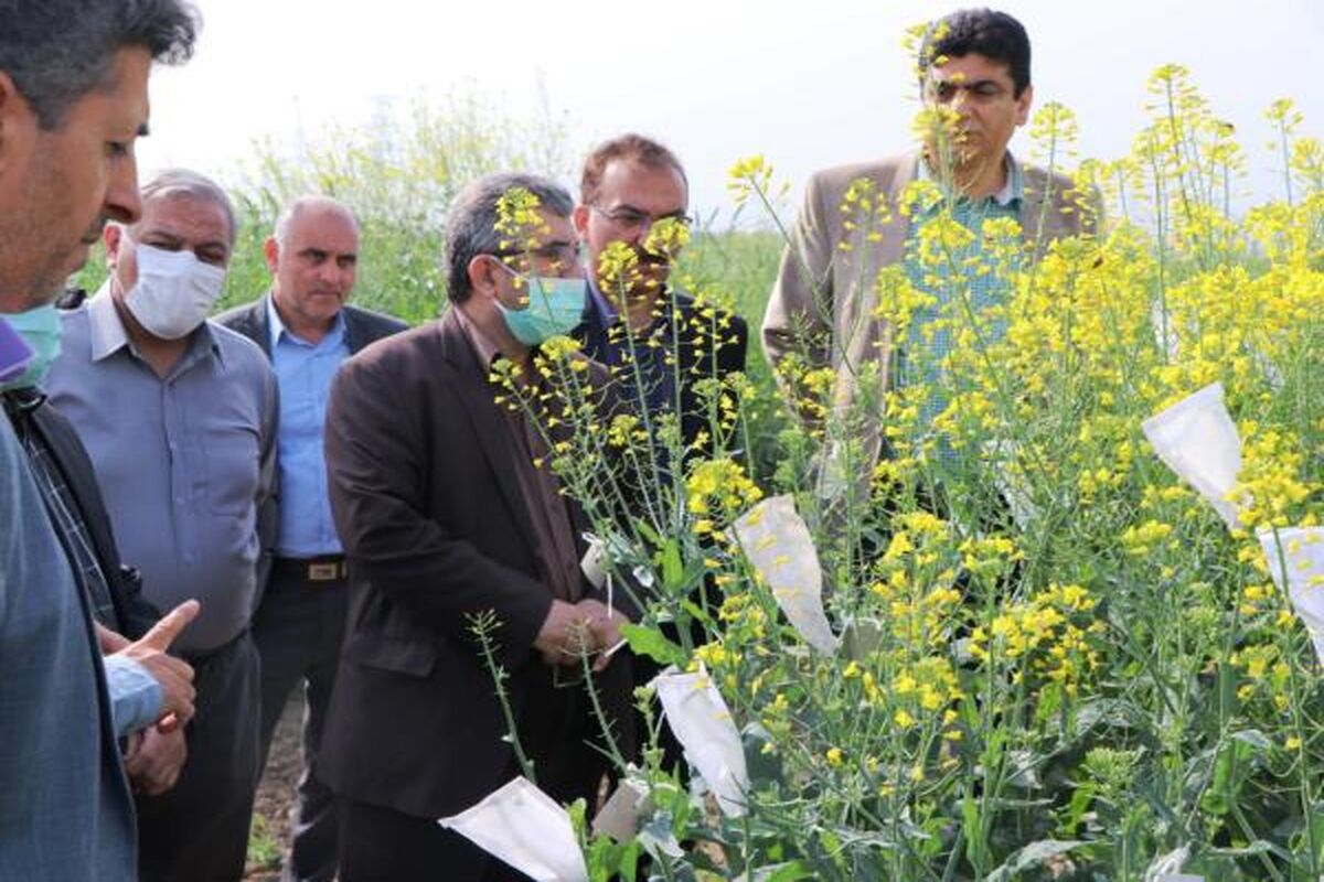 رئیس جهاد کشاورزی مازندران