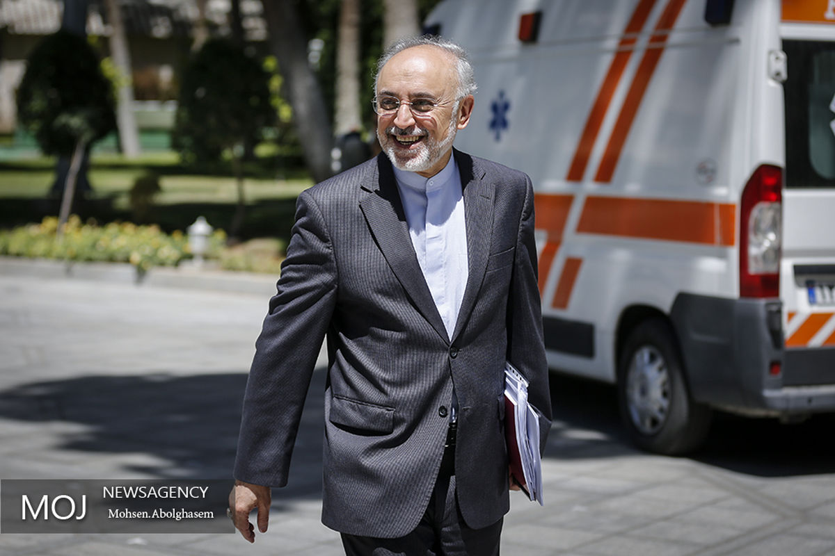 حاشیه جلسه هیات دولت