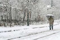 میزان بارش برف در ندوشن بیش از پنج سانتیمتر است