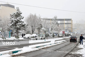 بارش برف و باران در اغلب مناطق کشور از شنبه