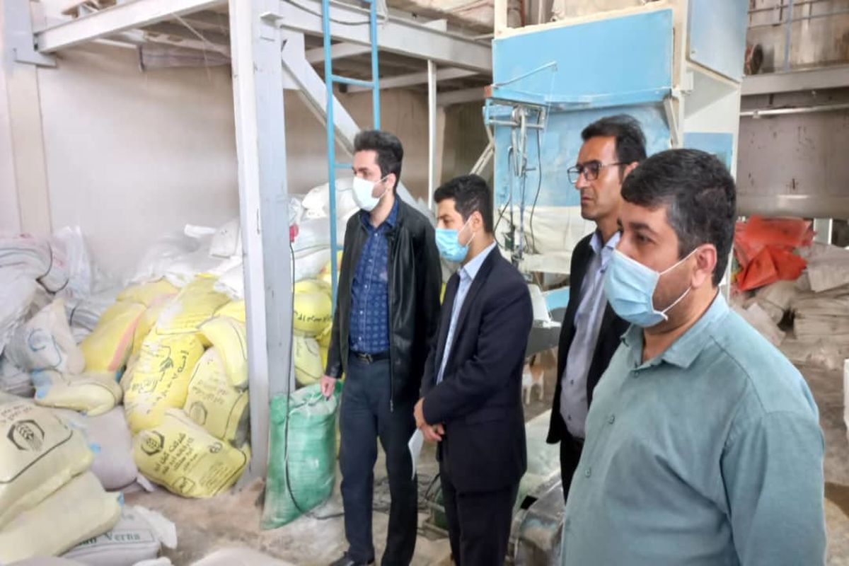 کشف ۳۳۸ کیسه آرد یارانه ای خارج از شبکه توزیع