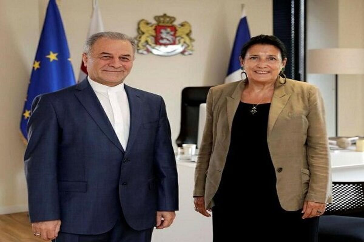 دیدار قوام شهیدی با رئیس جمهور گرجستان