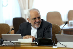 ظریف: سخنان نبویان شرم‌آور است