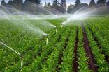 اختصاص ۲۰ میلیارد تومان برای تکمیل شبکه آبیاری زید، تلخاب و زرانگوش