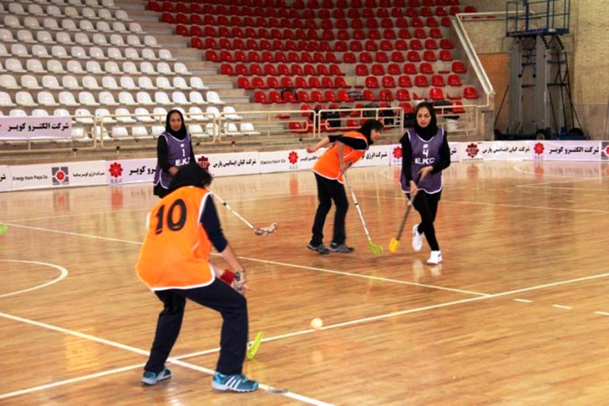 تیم ملی فلوربال