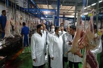 تکمیل زنجیره تولید در کشتارگاه اردبیل هدف‌گذاری شده است/ تولید و بسته‌بندی محصولات صادراتی