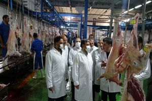 تکمیل زنجیره تولید در کشتارگاه اردبیل هدف‌گذاری شده است/ تولید و بسته‌بندی محصولات صادراتی