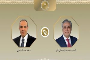 وزیران خارجه مصر و پاکستان با موضوع تثبیت آتش بس گفتگو کردند