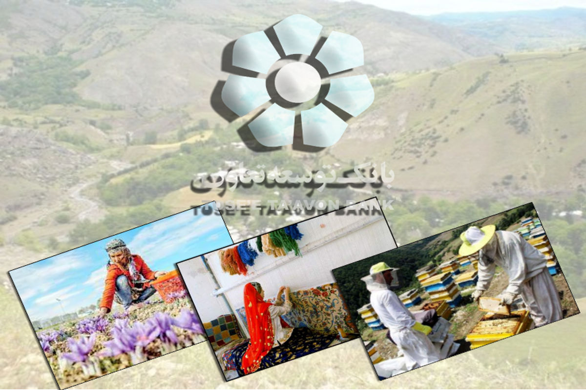 بانک توسعه تعاون