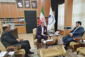 ایلام ظرفیت مطلوبی در حوزه دام دارد