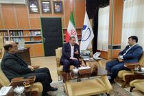 ایلام ظرفیت مطلوبی در حوزه دام دارد