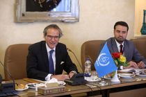  ایران و آژانس برای ادامه همکاری‌ها بر اساس بیانیه مشترک توافق کردند/ضامن اجرای برجام در حوزه فنی هستیم