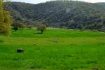 طرح «هر دهیاری یک جنگلبان» گامی موثر برای مشارکت مردم خوزستان در حفظ طبیعت است