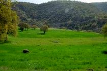 بیش از ۳ هزار میلیارد تومان سرمایه‌گذاری در پارک‌های جنگلی غرب مازندران جذب شد