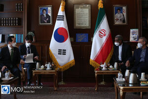 دیدار نخست وزیر کره جنوبی با علی لاریجانی
