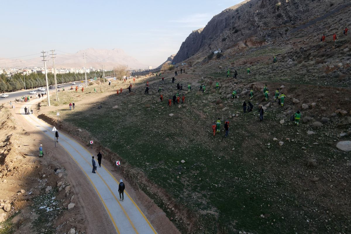 شهرداری شیراز