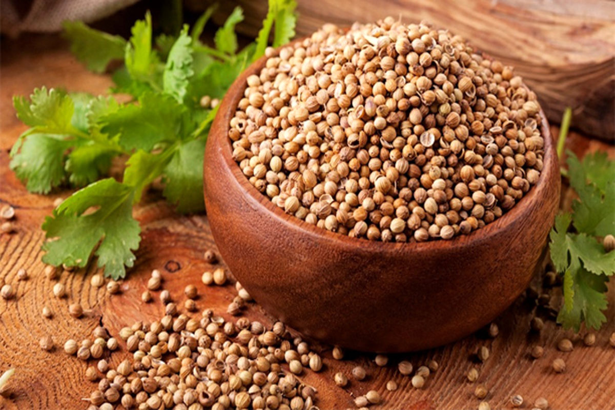 تخم گشنیز 1