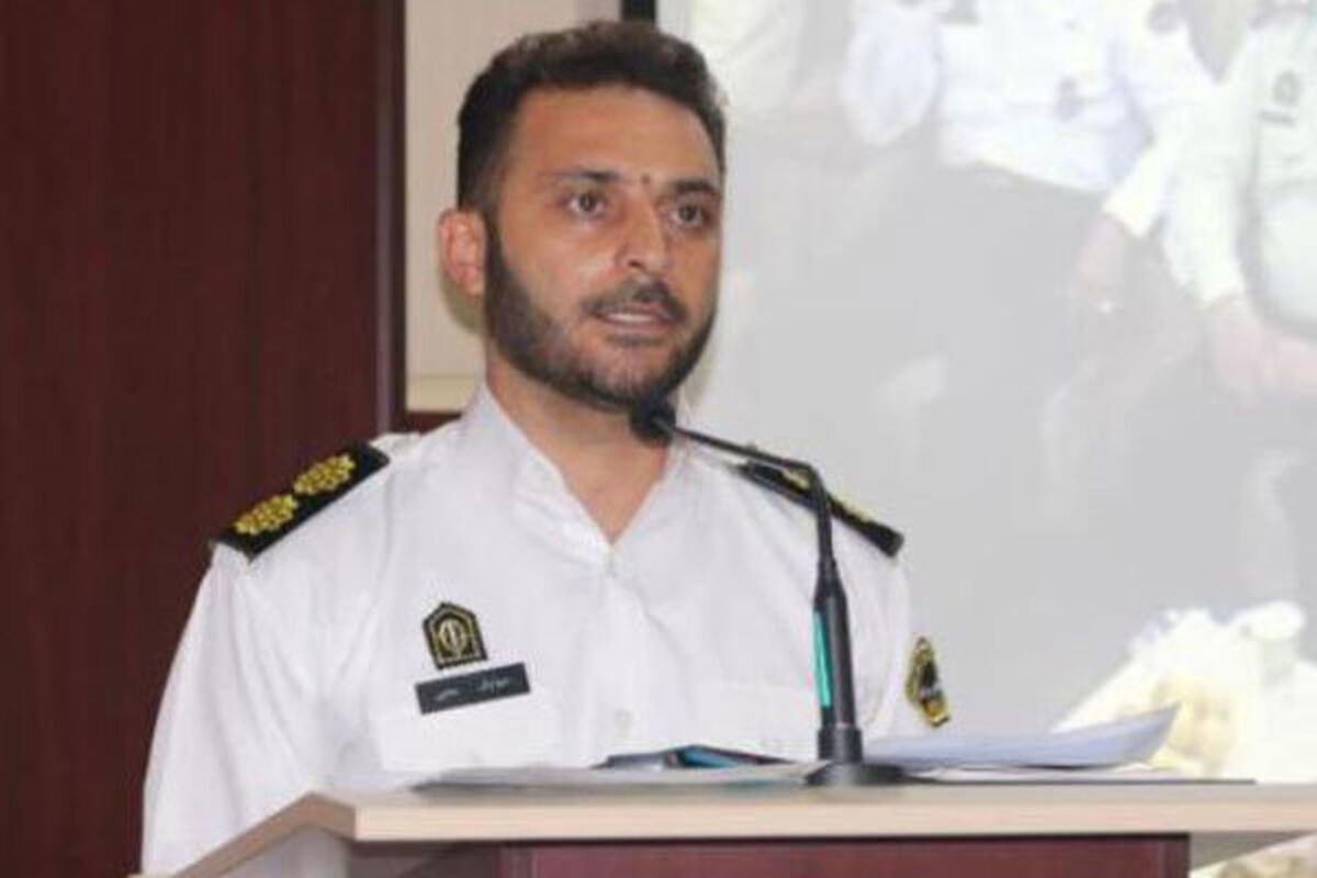 سیاوش محبی